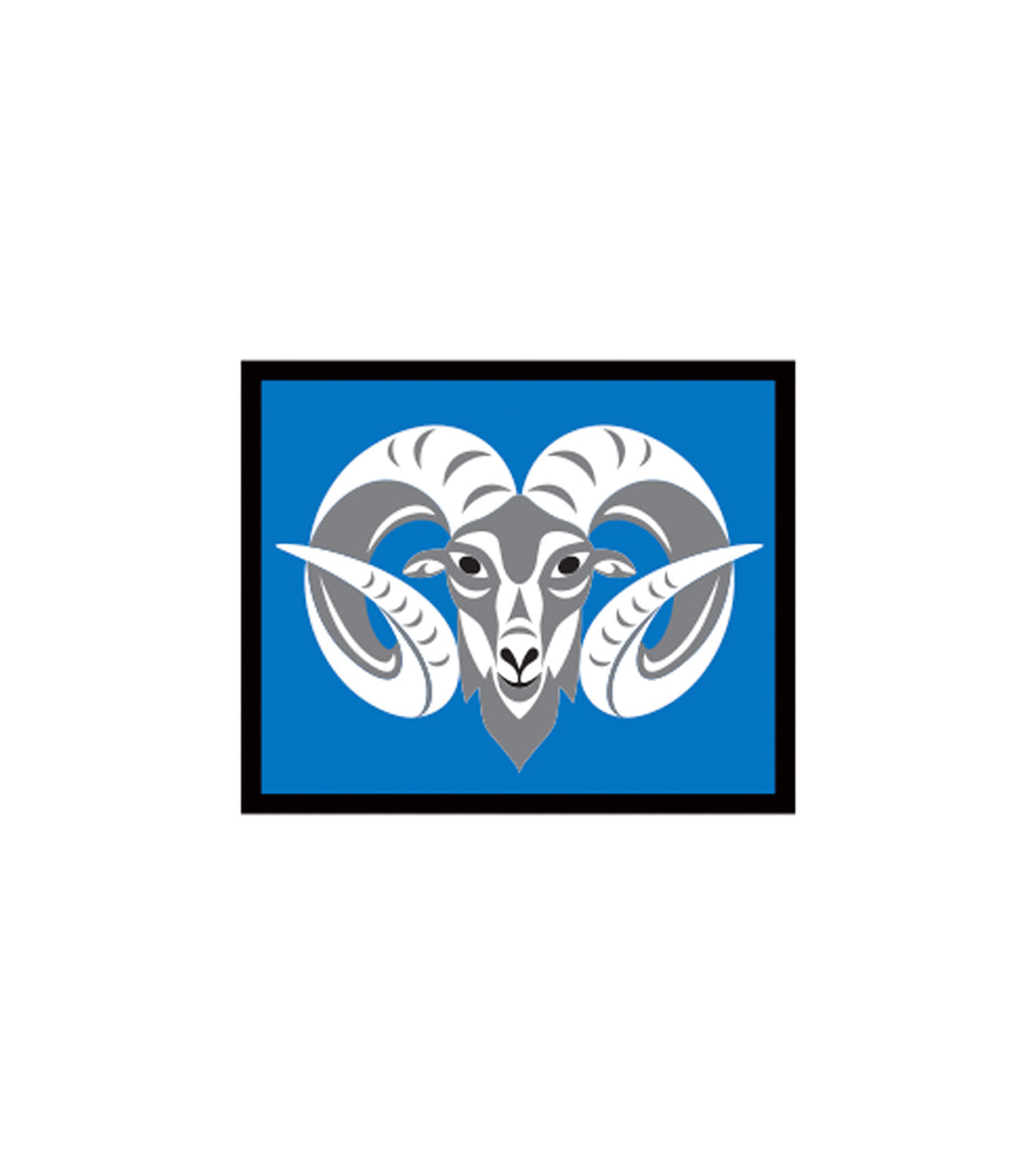 Ram Artwork Patch